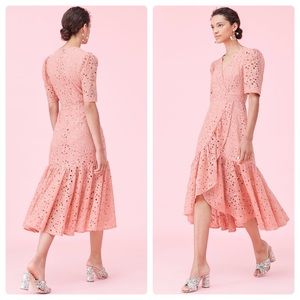 REBECCA TAYLOR Clover Embroidered Dress in Sienna